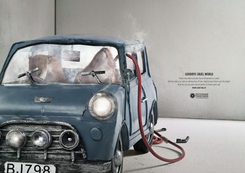 CEPF_Cannes_Digital China Environmen<img decoding=