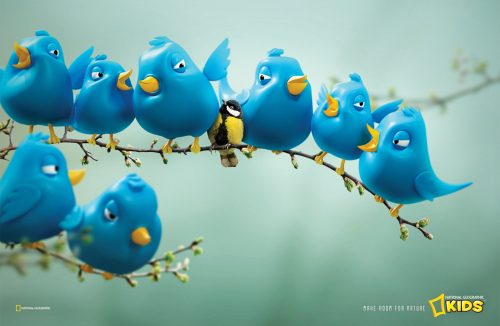 National Geographic Kids Magazine: Twitter Birds