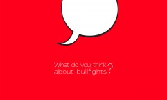 W Radio News Broadcast: What do you think of