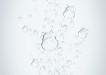Alka-Seltzer: Cow, Pig