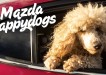Mazda / The Danish Animal Welfare Society: Happy dogs